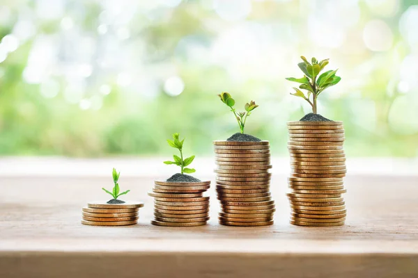 Growing stacks of coins with little plants growing on them, symbolising financial growth